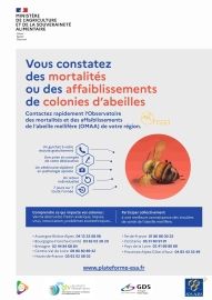 Déclaration événements de santé observés dans les ruchers